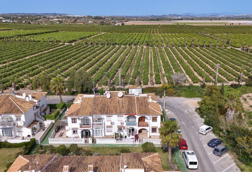 1 chambre Bungalow à vendre à Torrevieja avec piscine - 119 000 € (Ref: 9983751)