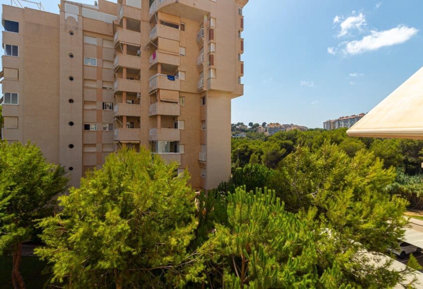1 quarto Apartamento de Praia para venda em Campoamor com piscina - 185 000 € (Ref: 9994559)