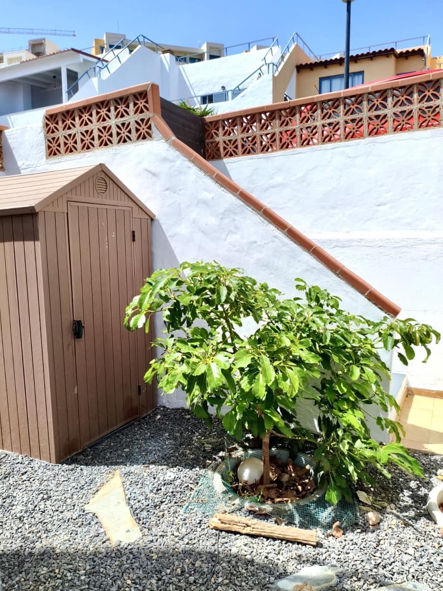 2 Zimmer Reihenhaus zu verkaufen in Caleta de Fuste mit Pool - 259.000 € (Ref: 10033215)