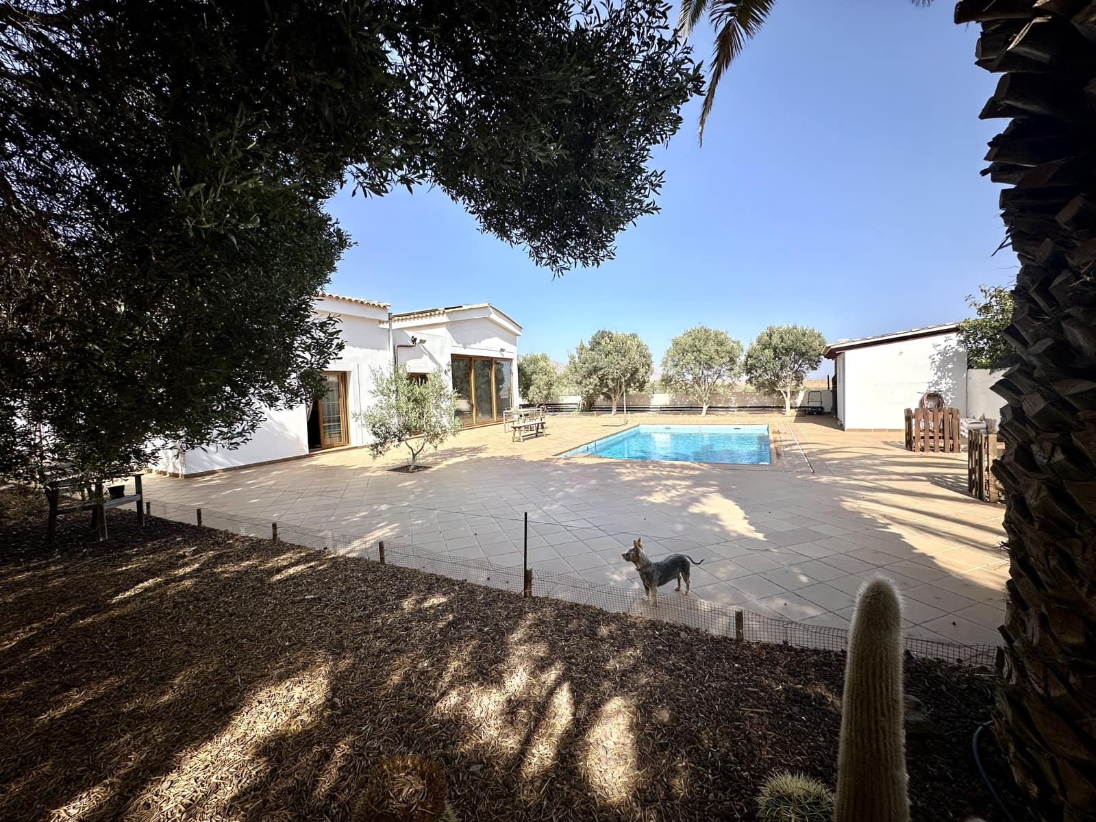 4 soveværelse Byhus til salg i Triquivijate med swimmingpool - € 550.000 (Ref: 8487093)