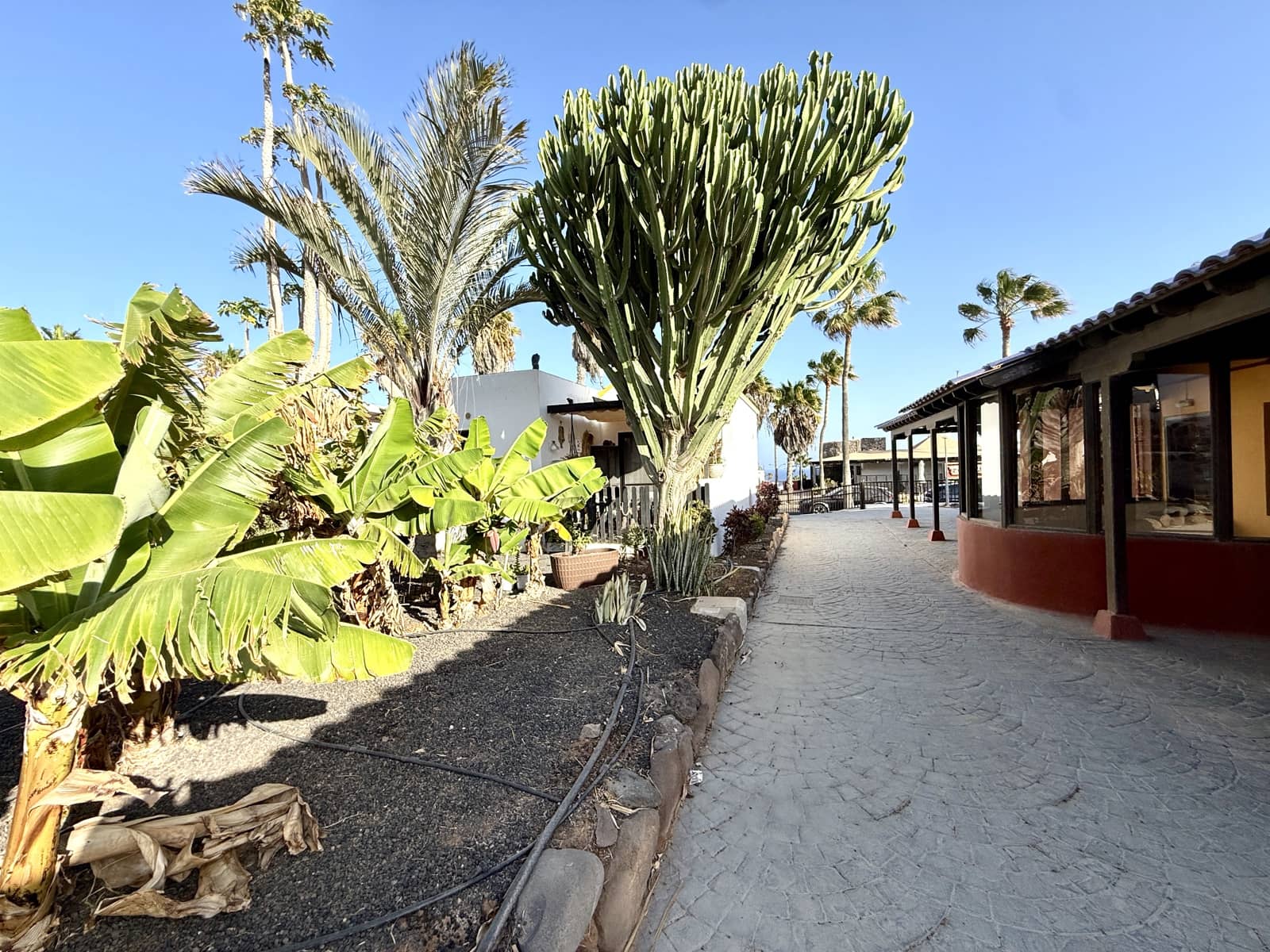 1 soverom Bungalow til salgs i Caleta de Fuste med svømmebasseng - € 175 000 (Ref: 9258214)