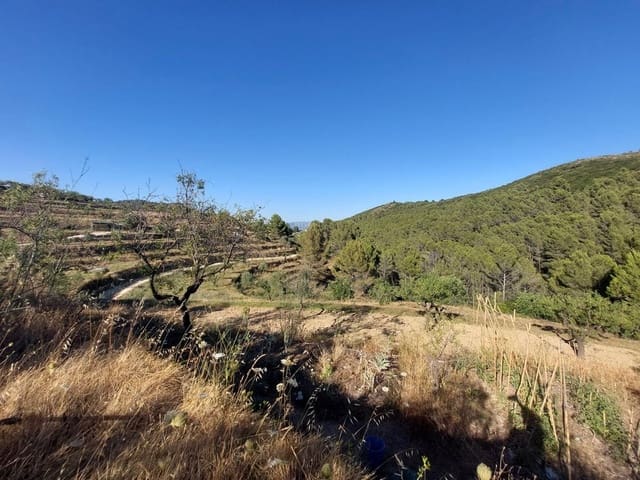 Bauplatz zu verkaufen in Jalón / Xaló - 149.000 € (Ref: 10179660)