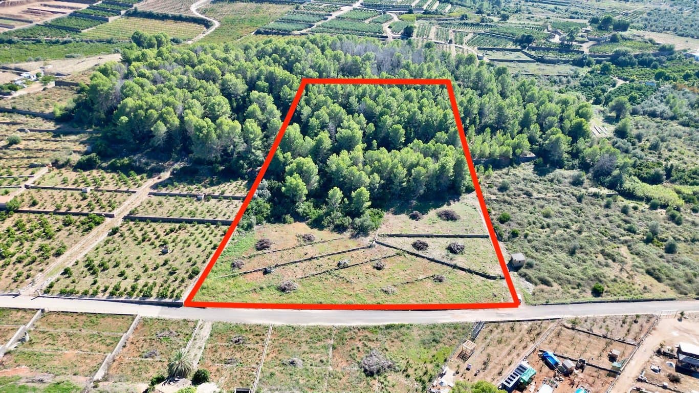 Byggegrund til salg i Villalonga - € 90.000 (Ref: 10184031)