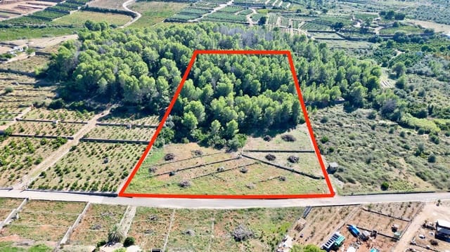 Byggegrund til salg i Villalonga - € 90.000 (Ref: 10184031)
