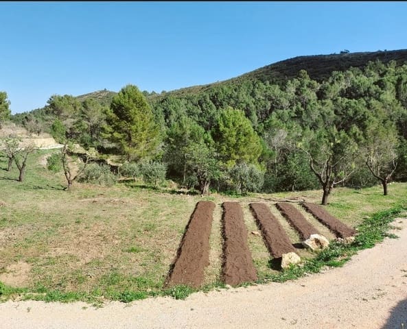 Bouwgrond te koop in Jalón / Xaló - € 149.000 (Ref: 8744549)