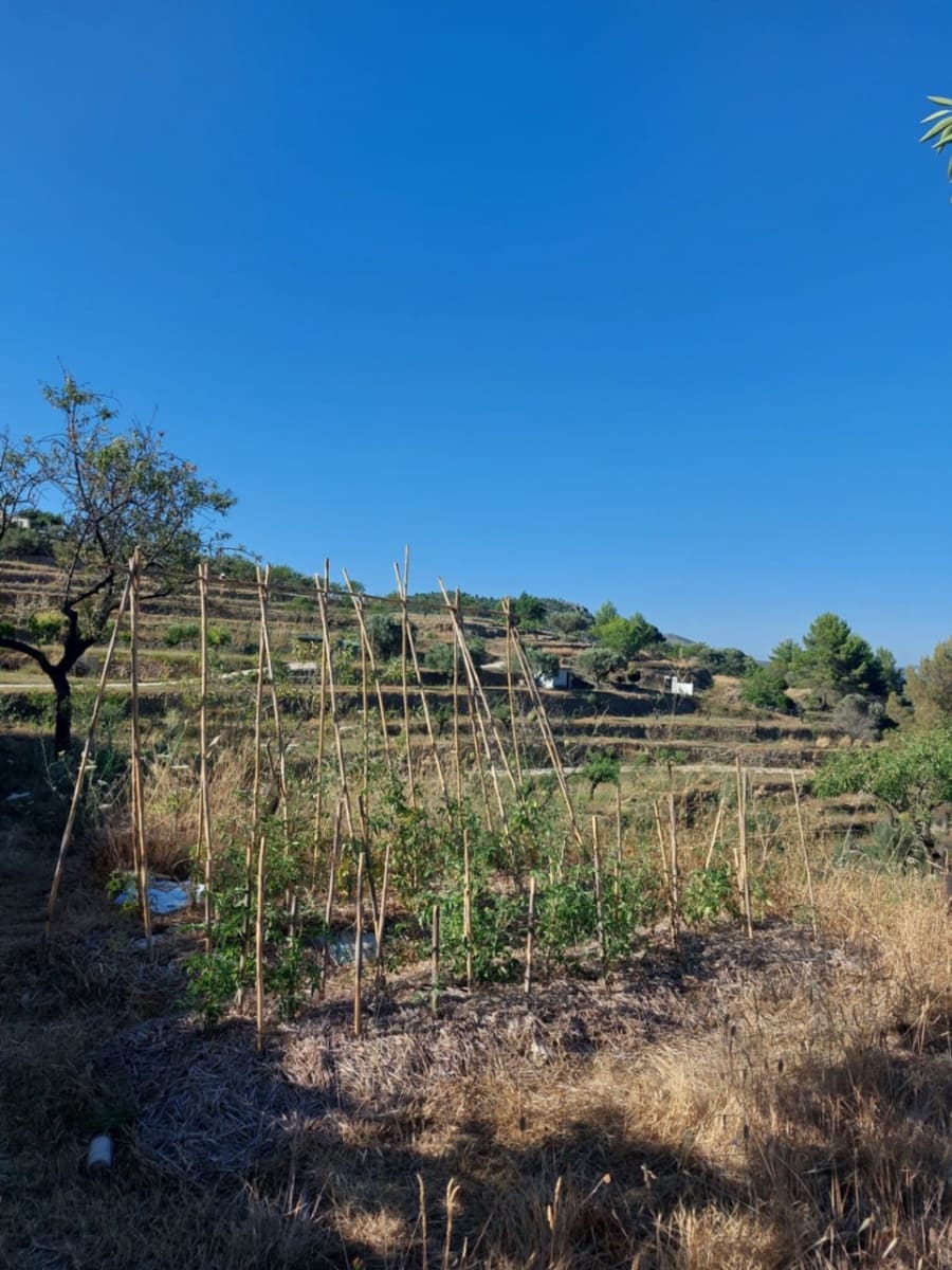 Byggetomt til salgs i Jalon / Xalo - € 149 000 (Ref: 8744549)