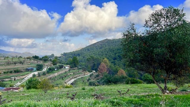 Bouwgrond te koop in Jalón / Xaló - € 149.000 (Ref: 8744549)