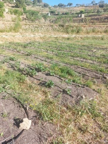 Bouwgrond te koop in Jalón / Xaló - € 149.000 (Ref: 8744549)