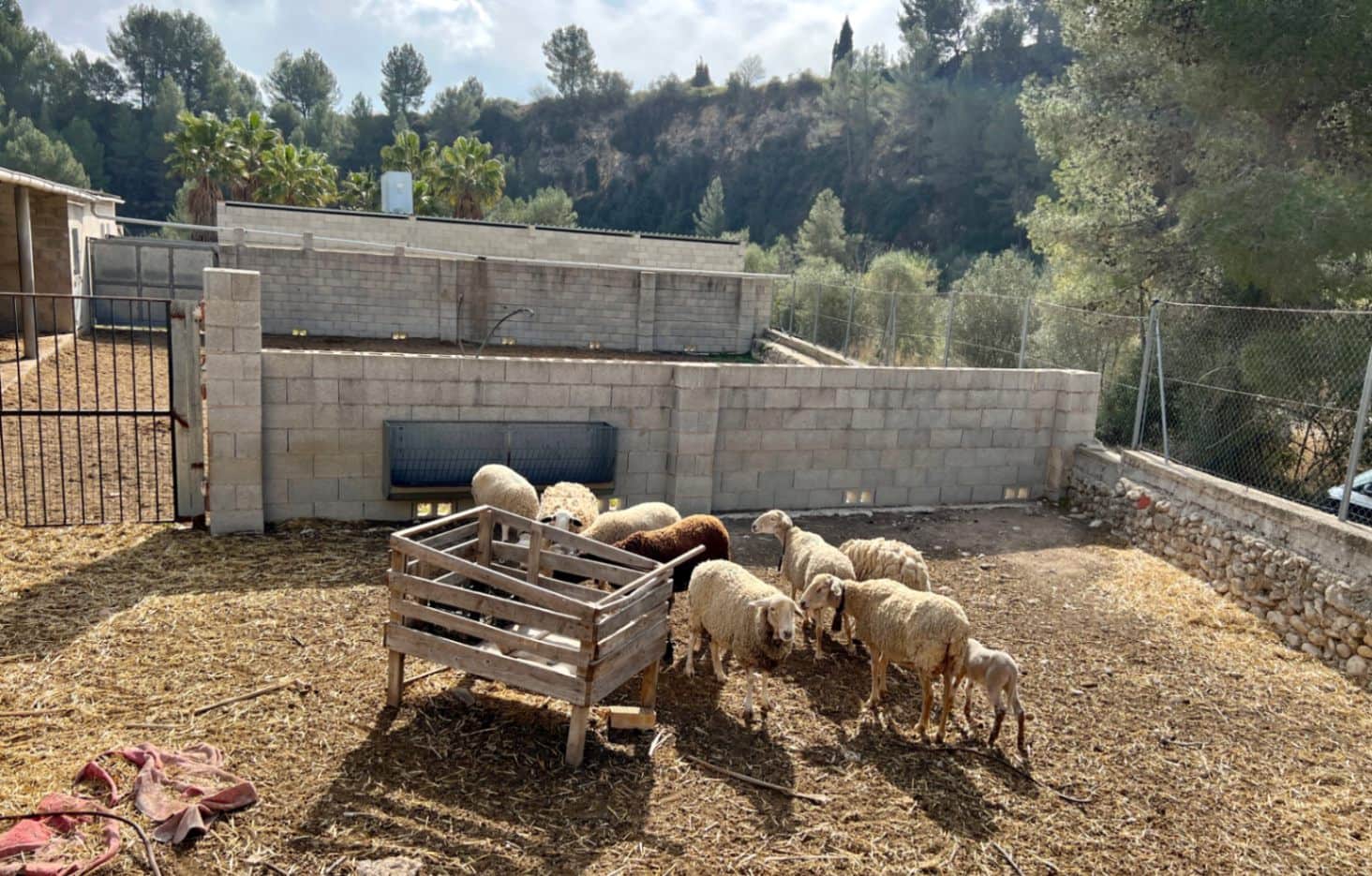 1 slaapkamer Finca/Landhuis te koop in Orba - € 180.000 (Ref: 8744608)