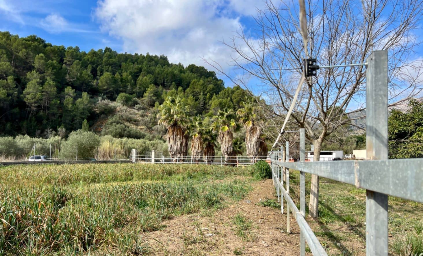 1 slaapkamer Finca/Landhuis te koop in Orba - € 180.000 (Ref: 8744608)