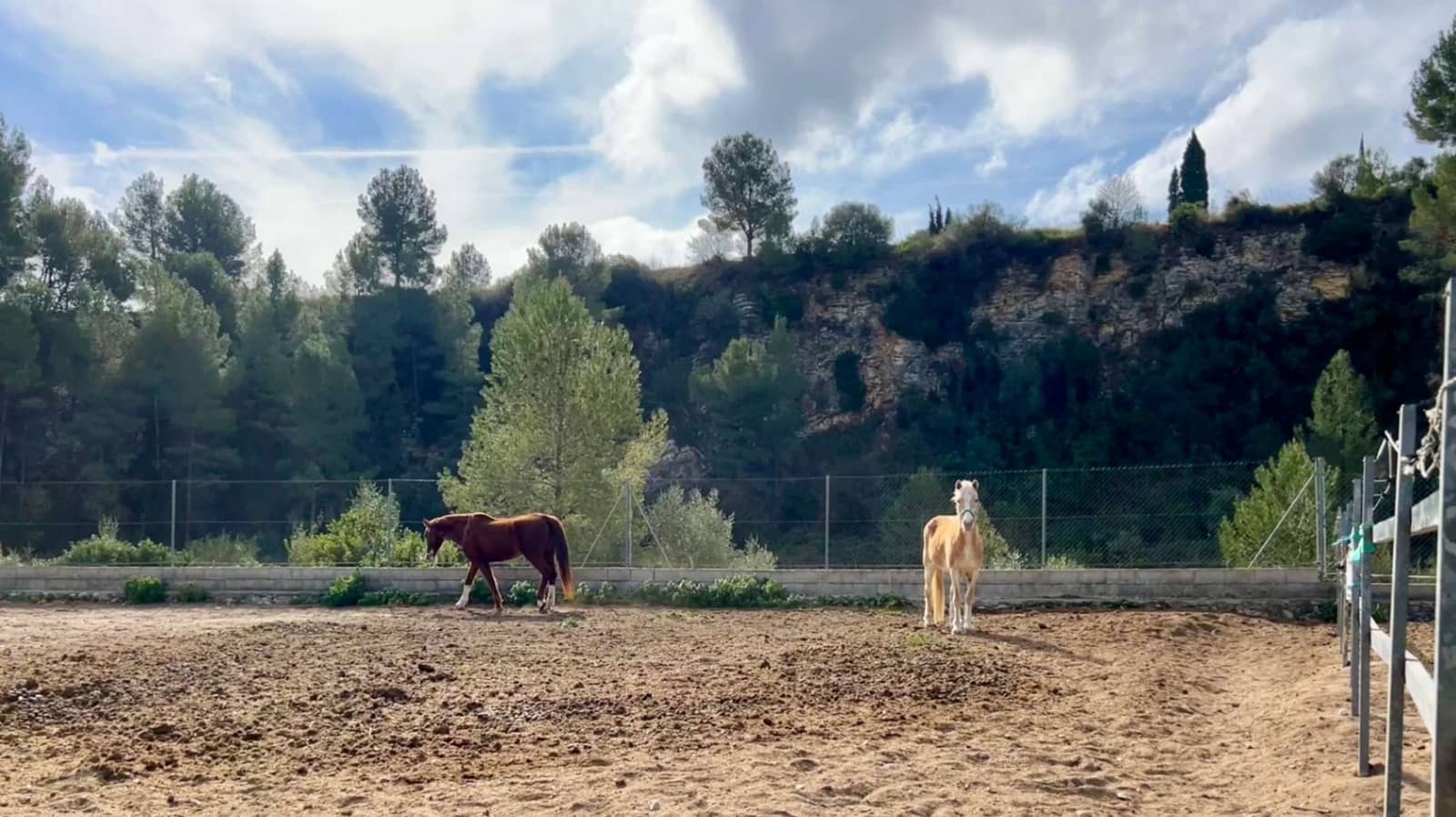 1 slaapkamer Finca/Landhuis te koop in Orba - € 180.000 (Ref: 8744608)