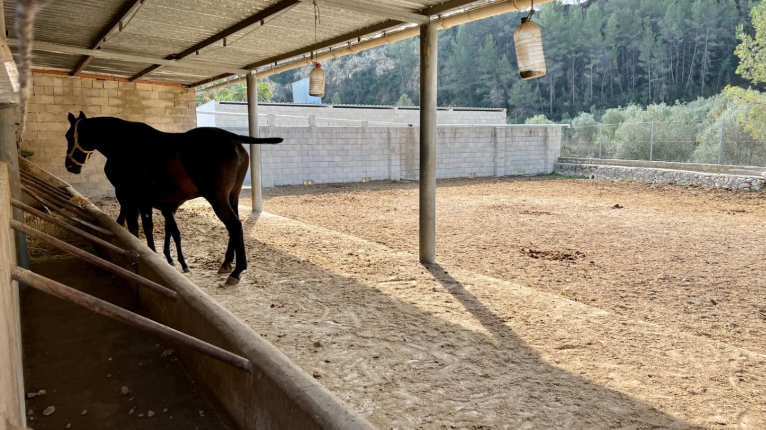 1 slaapkamer Finca/Landhuis te koop in Orba - € 180.000 (Ref: 8744608)