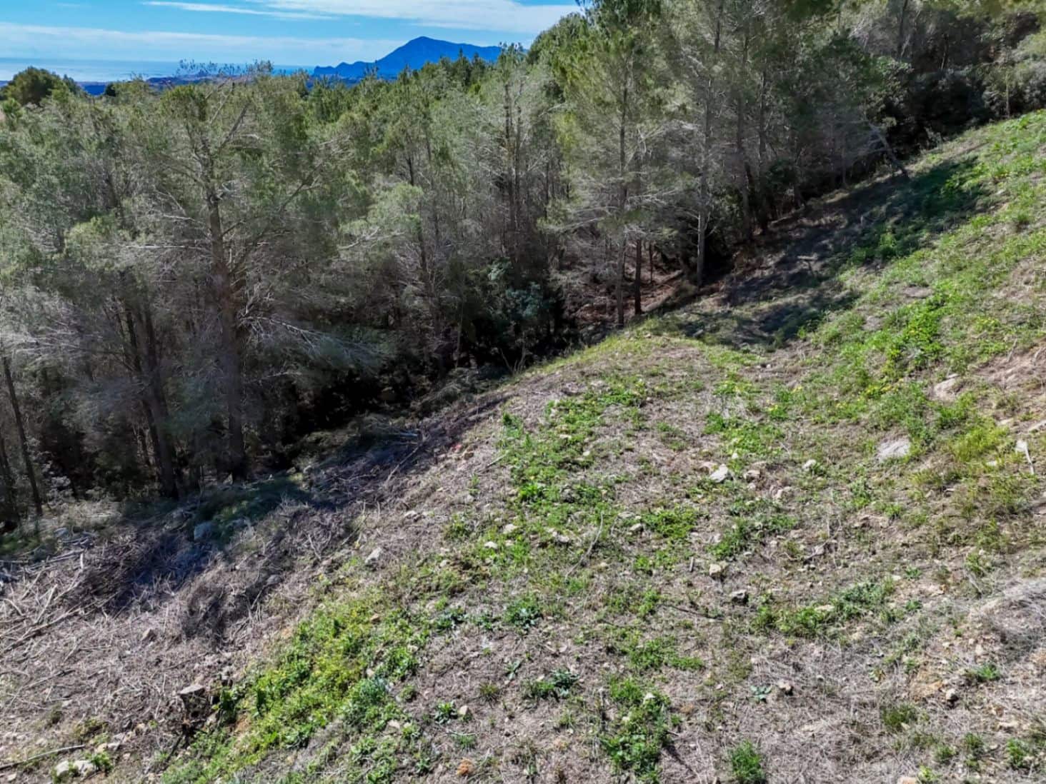 Bouwgrond te koop in Callosa d'En Sarria - € 320.000 (Ref: 9061746)