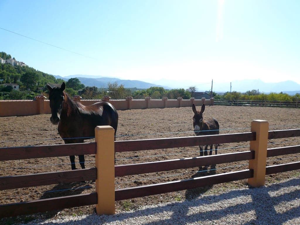 5 sovrum Villa till salu i Pedreguer med pool garage - 1 855 000 € (Ref: 9533390)