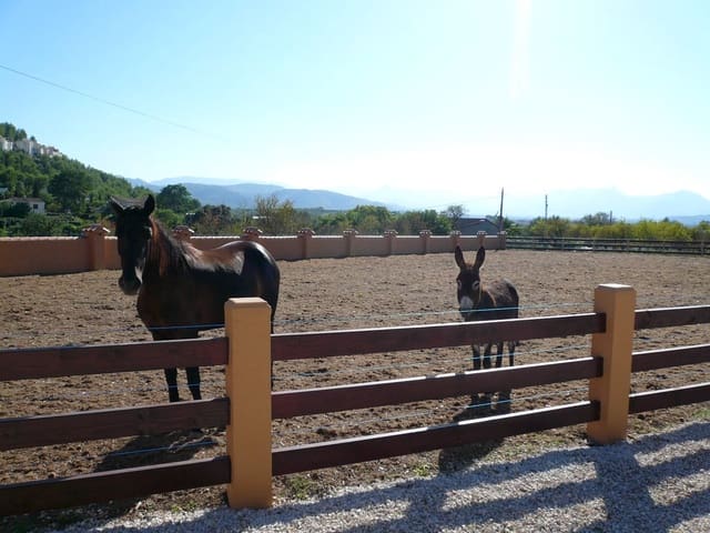 5 sovrum Villa till salu i Pedreguer med pool garage - 1 855 000 € (Ref: 9533390)