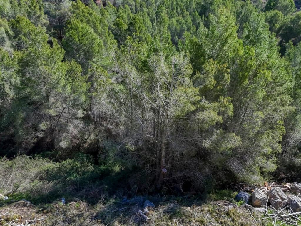 Terrain à Bâtir à vendre à Callosa d'En Sarria - 320 000 € (Ref: 9533412)
