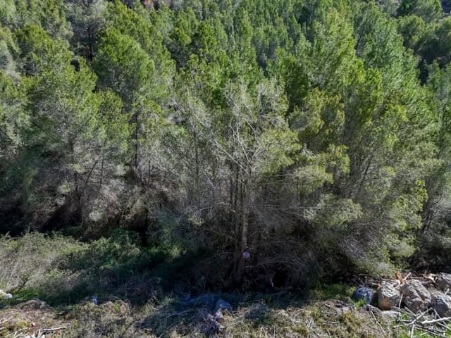 Terrain à Bâtir à vendre à Callosa d'En Sarrià - 320 000 € (Ref: 9533412)