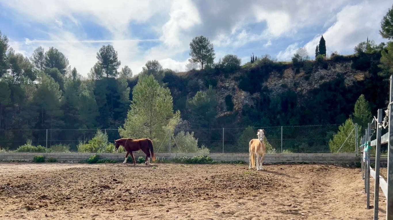 1 sovrum Finca/Hus på landet till salu i Orba med pool garage - 180 000 € (Ref: 9533416)