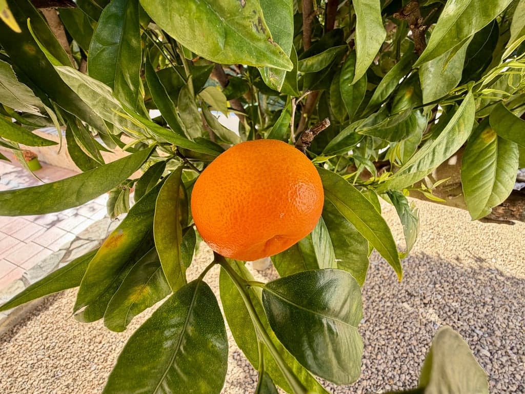 3 slaapkamer Villa te koop in Gata de Gorgos met zwembad garage - € 239.500 (Ref: 9622221)