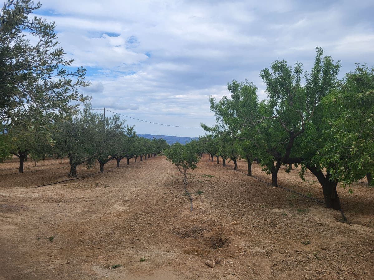 4 soverom Villa til salgs i Els Reguers med garasje - € 280 000 (Ref: 8262954)