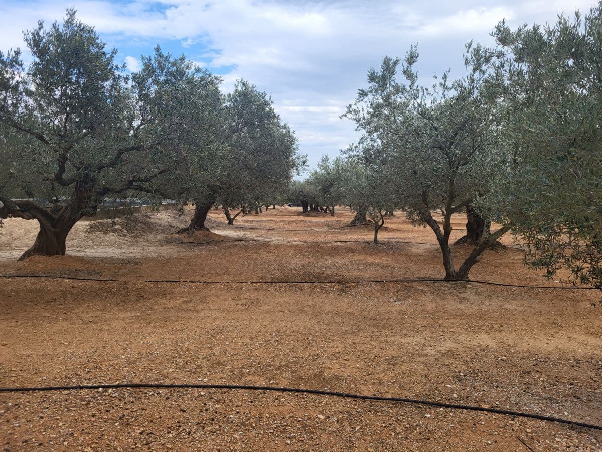 4 soverom Villa til salgs i Els Reguers med garasje - € 280 000 (Ref: 8262954)