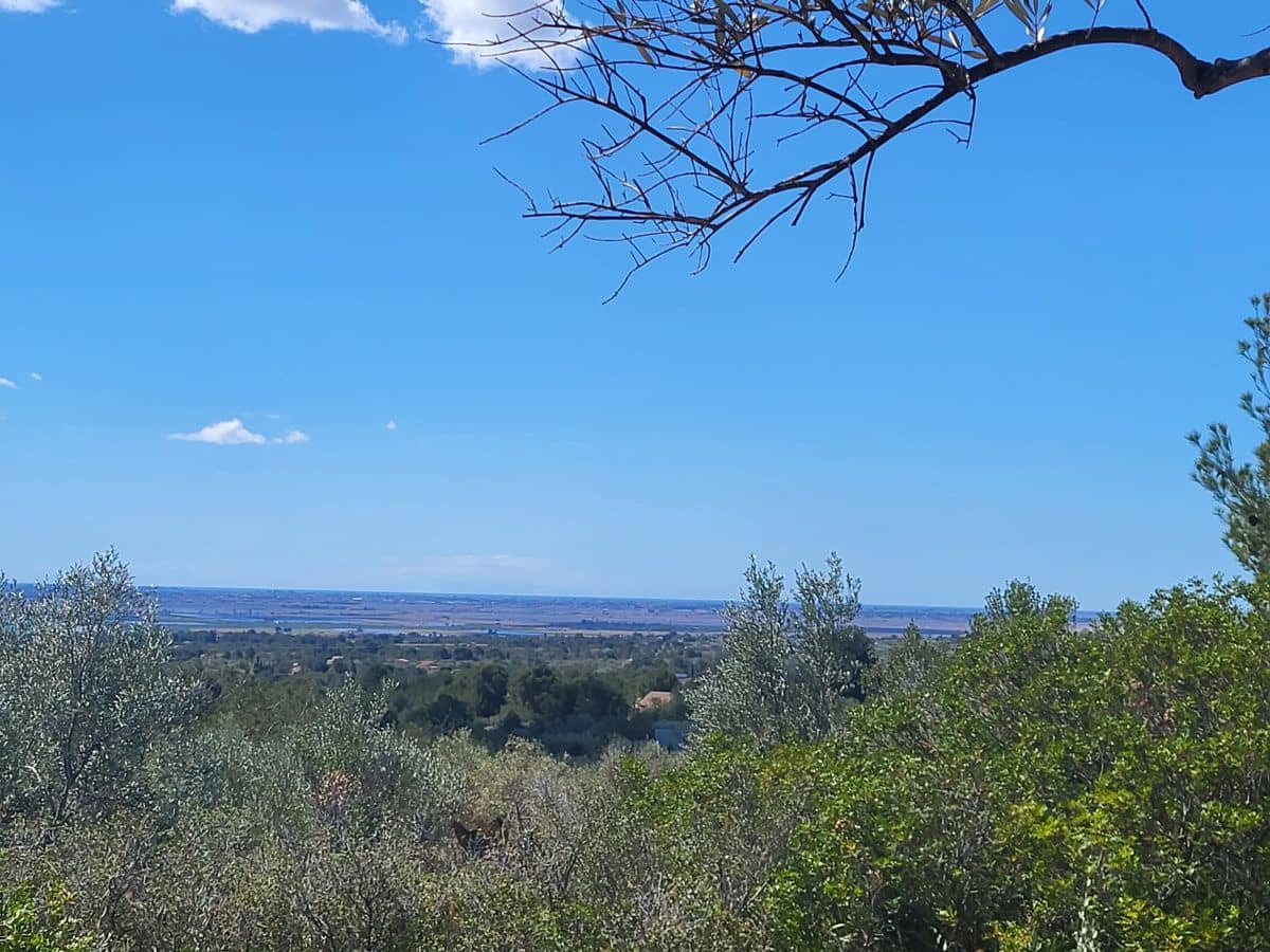 2 bedroom Finca/Country House for sale in L'Ampolla - € 85,000 (Ref: 8302615)