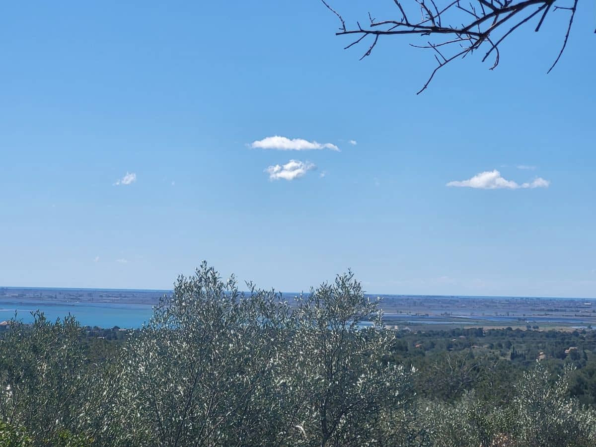 2 bedroom Finca/Country House for sale in L'Ampolla - € 85,000 (Ref: 8302615)