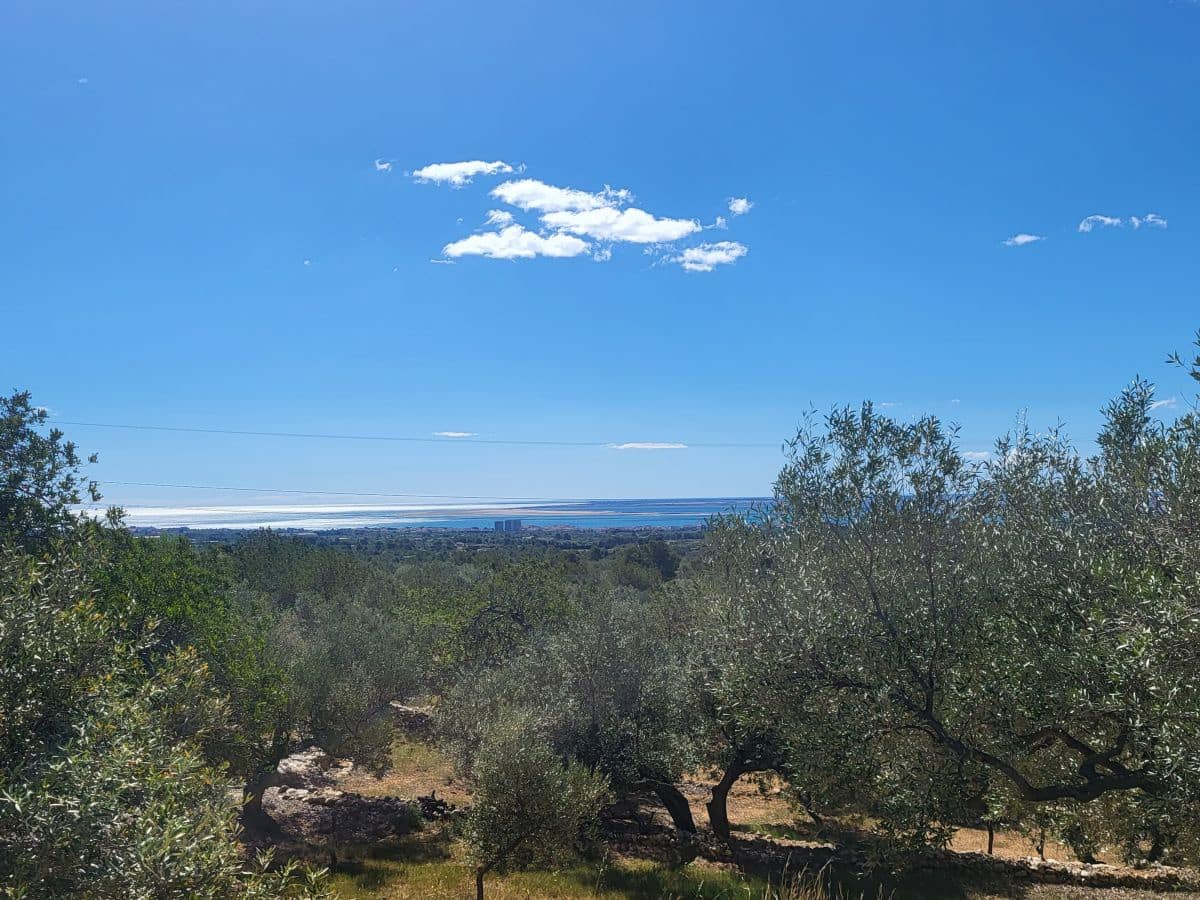 2 bedroom Finca/Country House for sale in L'Ampolla - € 85,000 (Ref: 8302615)