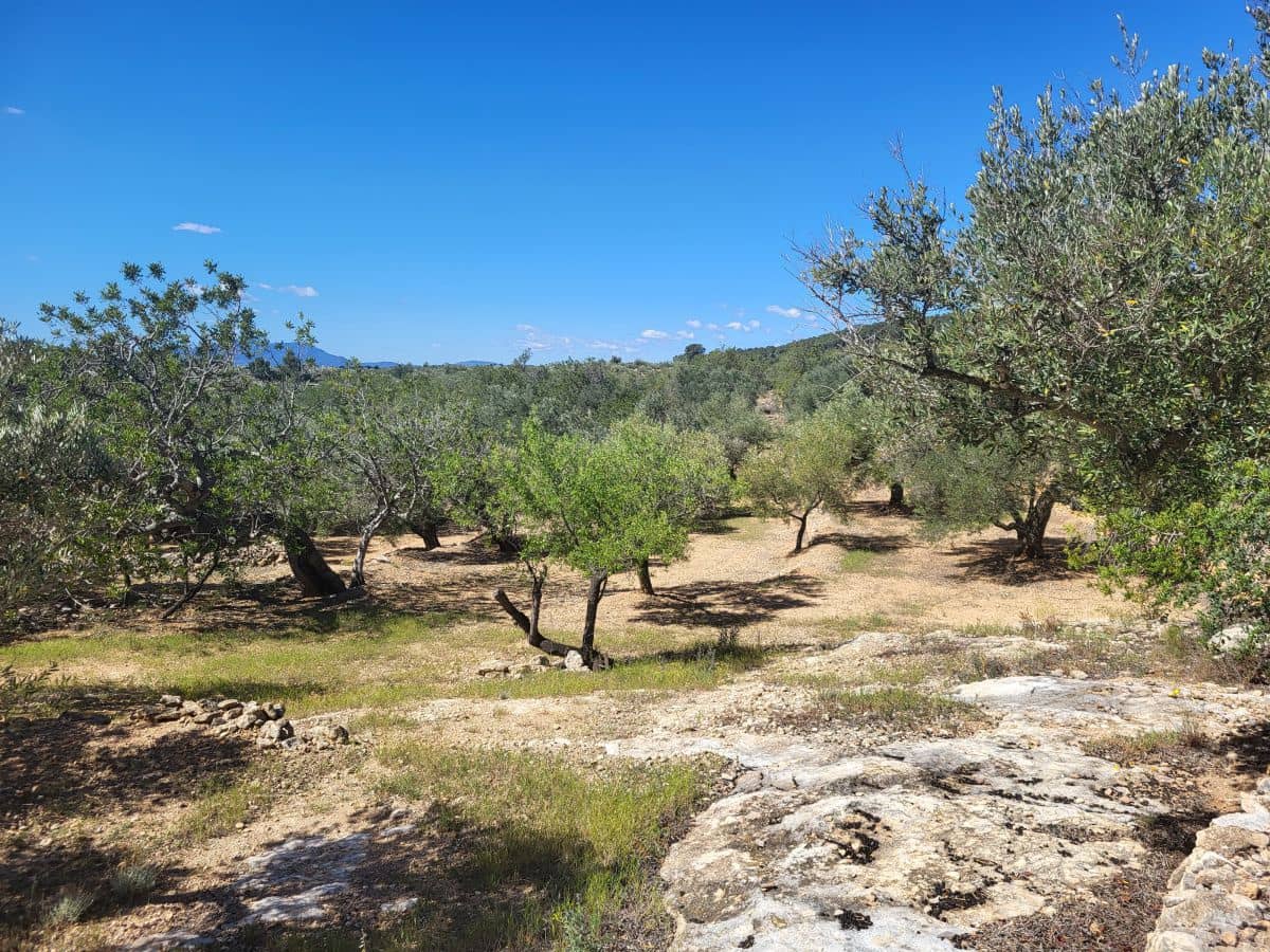 2 bedroom Finca/Country House for sale in L'Ampolla - € 85,000 (Ref: 8302615)