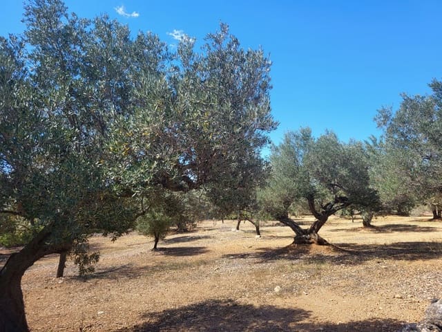 2 soveværelse Finca/Landehus til salg i L'Ampolla - € 85.000 (Ref: 8302615)