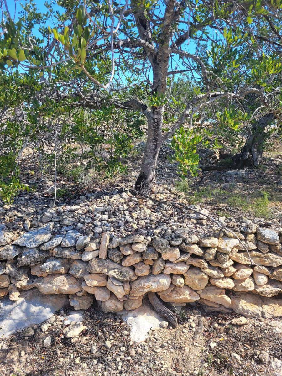 2 bedroom Finca/Country House for sale in L'Ampolla - € 85,000 (Ref: 8302615)