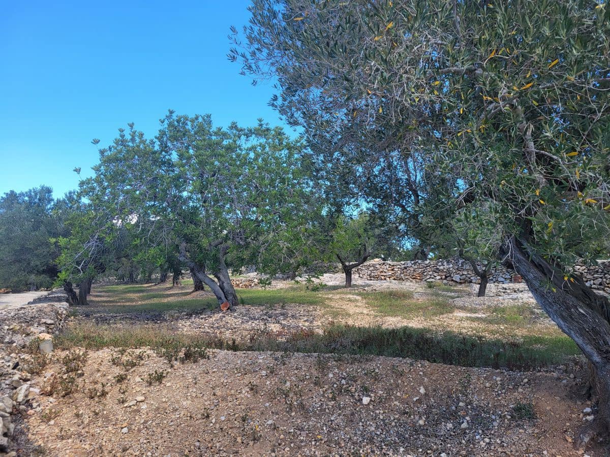 2 bedroom Finca/Country House for sale in L'Ampolla - € 85,000 (Ref: 8302615)