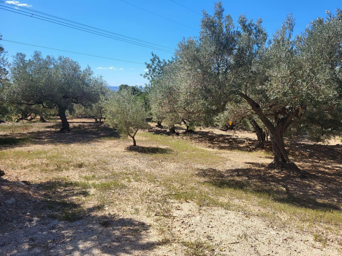 2 bedroom Finca/Country House for sale in L'Ampolla - € 85,000 (Ref: 8302615)