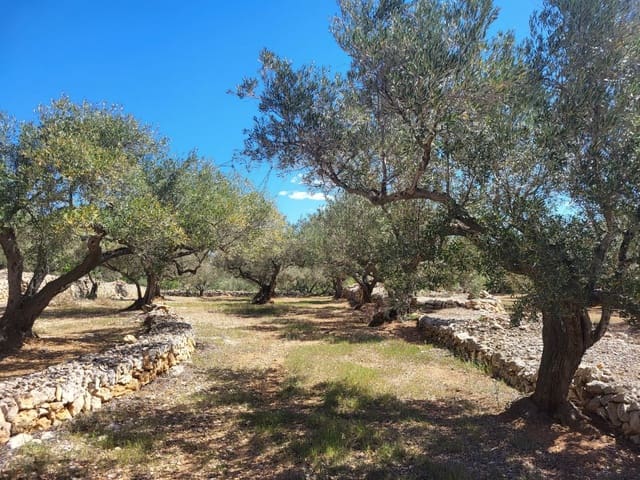 2 soveværelse Finca/Landehus til salg i L'Ampolla - € 85.000 (Ref: 8302615)