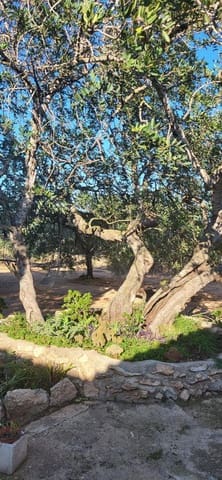 2 bedroom Finca/Country House for sale in Els Reguers, Tortosa - € 93,500 (Ref: 9149707)