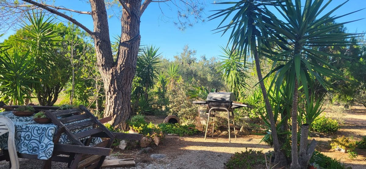 2 bedroom Finca/Country House for sale in Els Reguers - € 93,500 (Ref: 9149707)