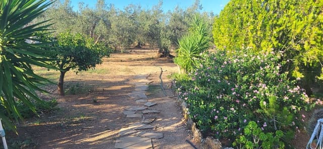 2 bedroom Finca/Country House for sale in Els Reguers, Tortosa - € 93,500 (Ref: 9149707)