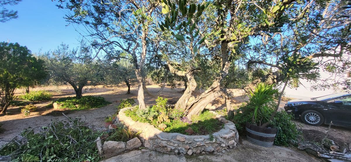 2 bedroom Finca/Country House for sale in Els Reguers - € 93,500 (Ref: 9149707)