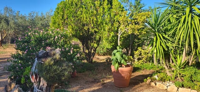 2 bedroom Finca/Country House for sale in Els Reguers, Tortosa - € 93,500 (Ref: 9149707)