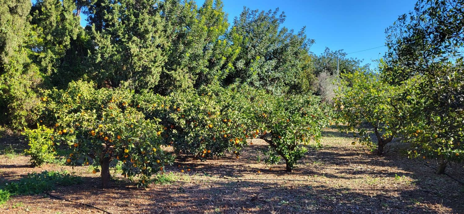 5 soverom Villa til salgs i Tortosa - € 215 000 (Ref: 9149711)