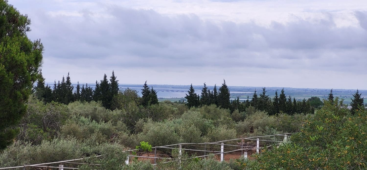 4 slaapkamer Finca/Landhuis te koop in L'Ampolla - € 295.000 (Ref: 9149716)