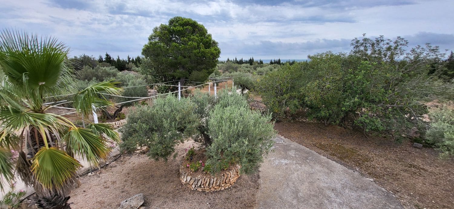 4 slaapkamer Finca/Landhuis te koop in L'Ampolla - € 295.000 (Ref: 9149716)