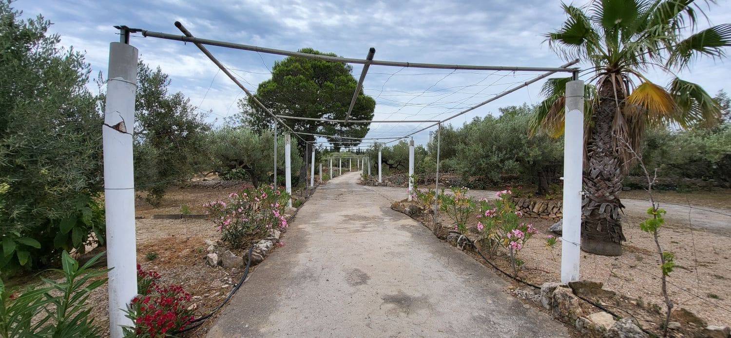 4 slaapkamer Finca/Landhuis te koop in L'Ampolla - € 295.000 (Ref: 9149716)