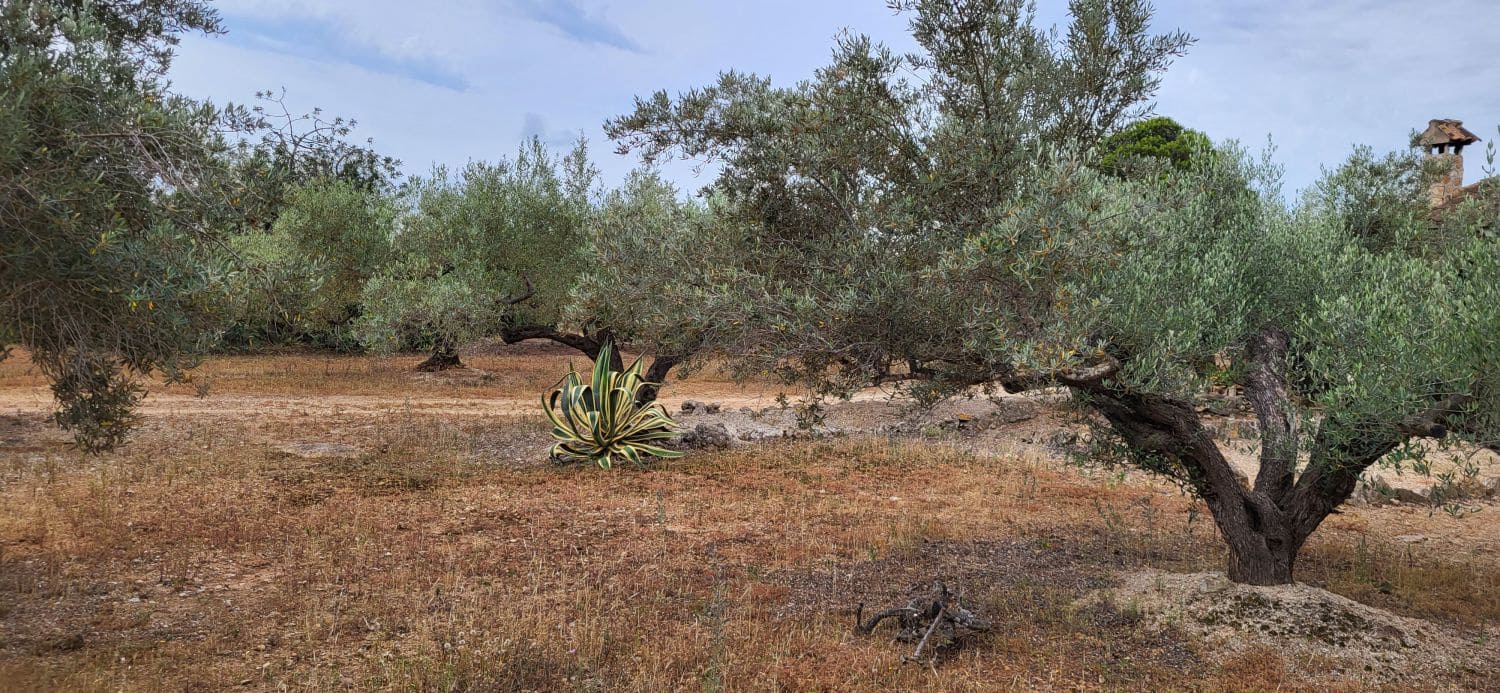 4 slaapkamer Finca/Landhuis te koop in L'Ampolla - € 295.000 (Ref: 9149716)