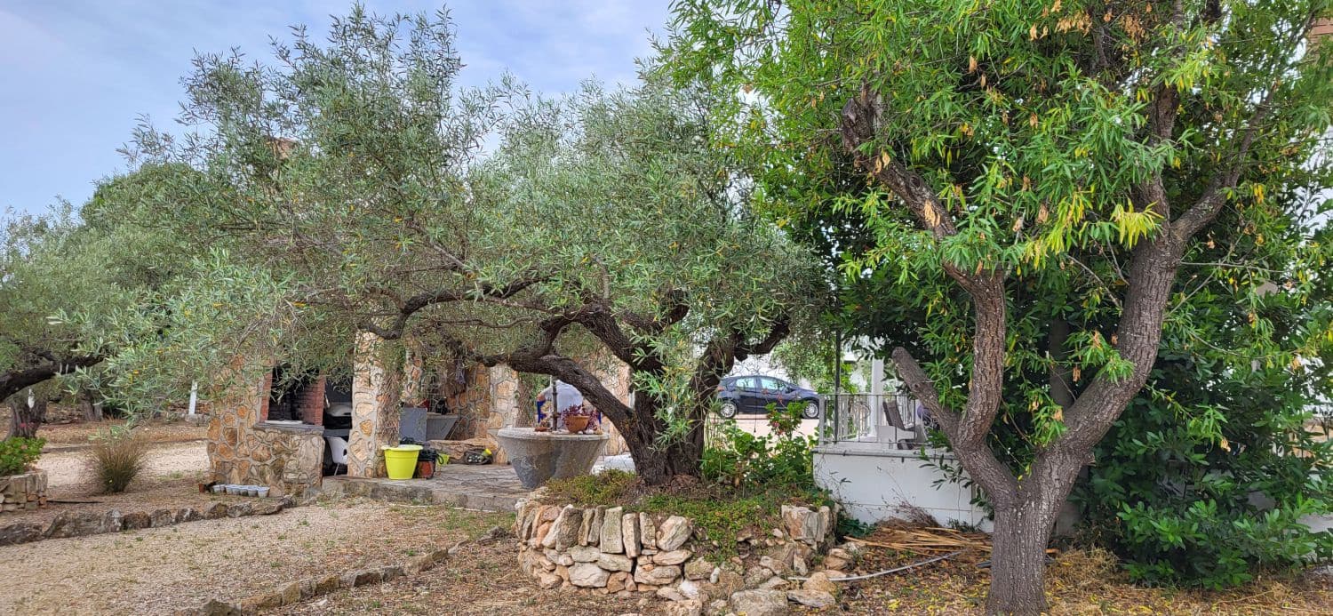 4 slaapkamer Finca/Landhuis te koop in L'Ampolla - € 295.000 (Ref: 9149716)