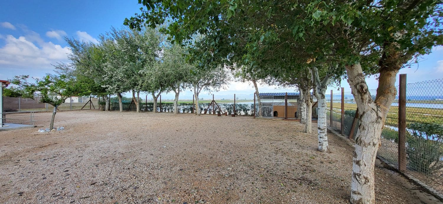 2 soverom Villa til salgs i Deltebre med garasje - € 350 000 (Ref: 9335499)