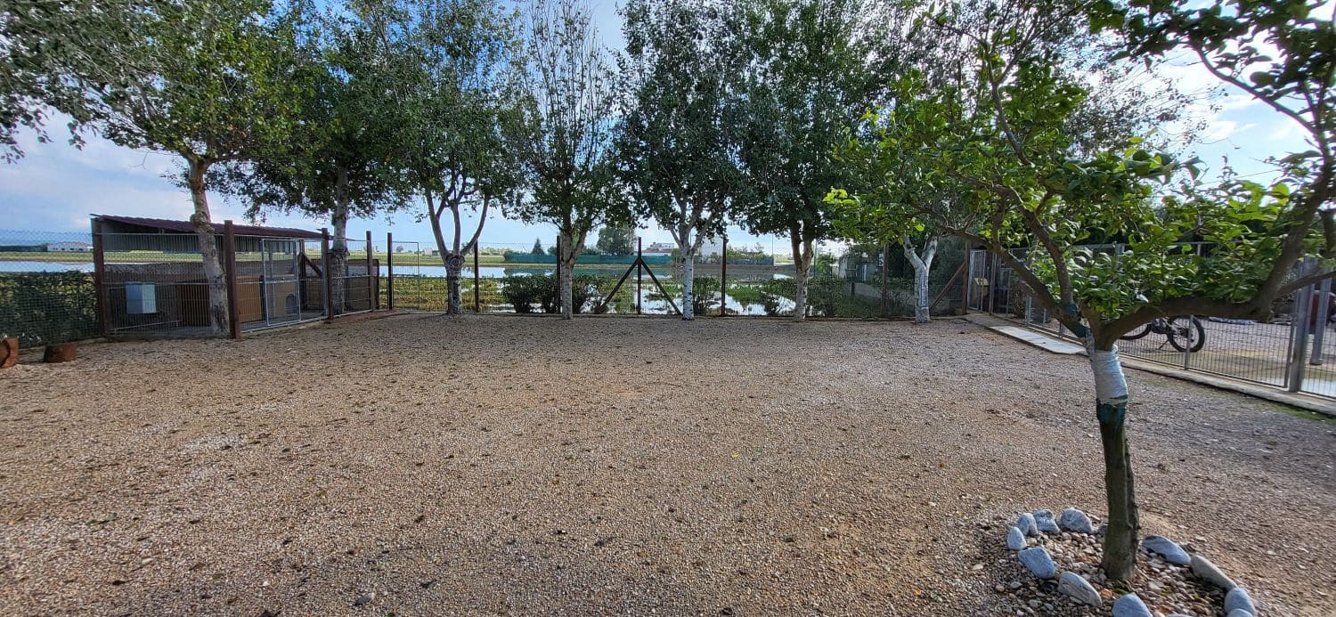 2 soverom Villa til salgs i Deltebre med garasje - € 350 000 (Ref: 9335499)