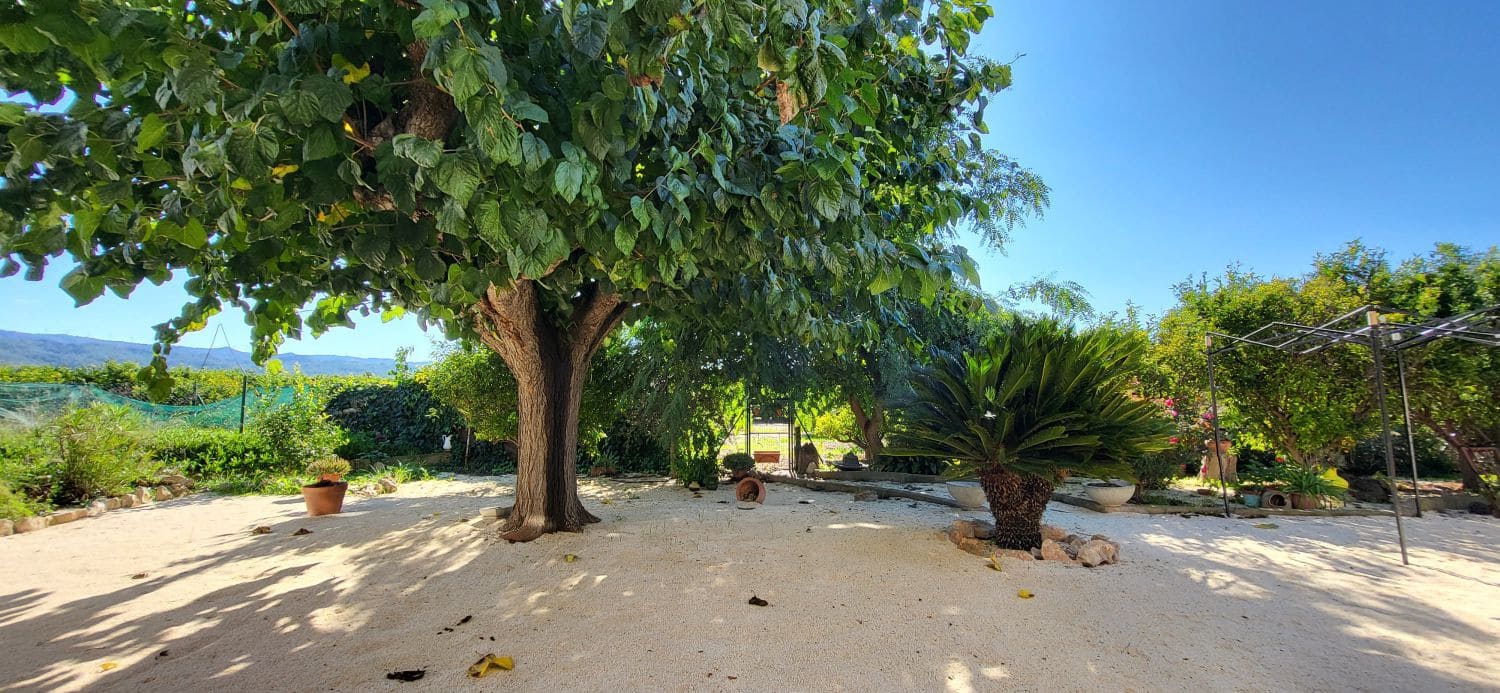 2 Zimmer Finca/Landgut zu verkaufen in Bitem - 315.000 € (Ref: 9367091)