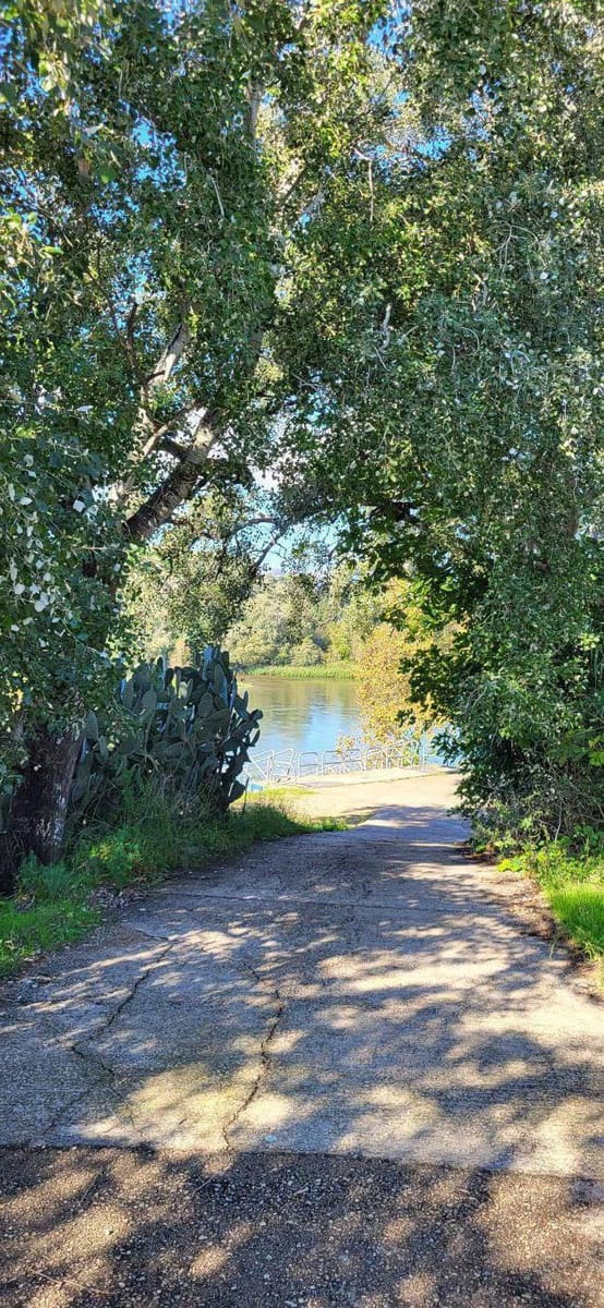 2 Zimmer Finca/Landgut zu verkaufen in Bitem - 315.000 € (Ref: 9367091)