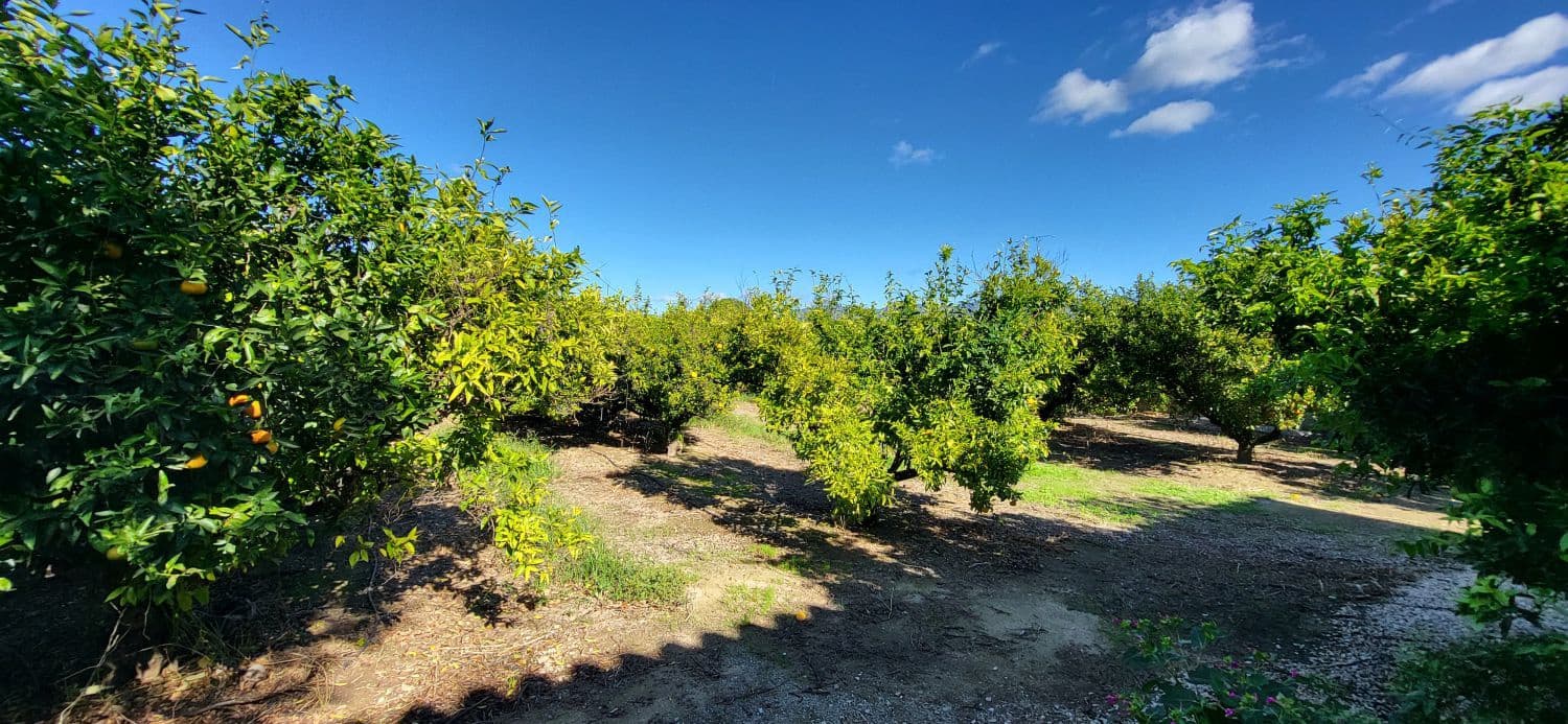 2 Zimmer Finca/Landgut zu verkaufen in Bitem - 315.000 € (Ref: 9367091)